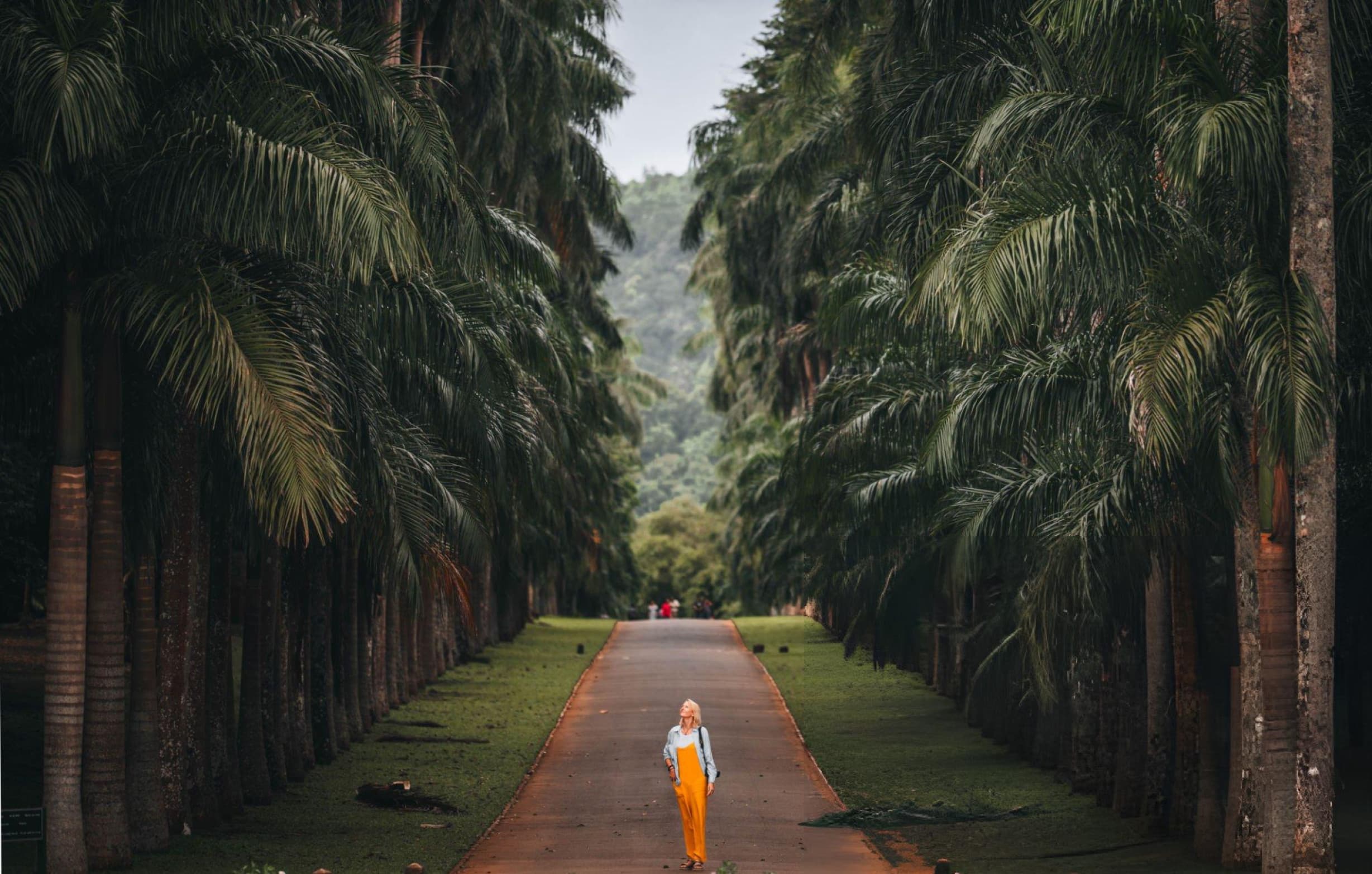 Kandy-Touren Sri Lanka - Gallery 1